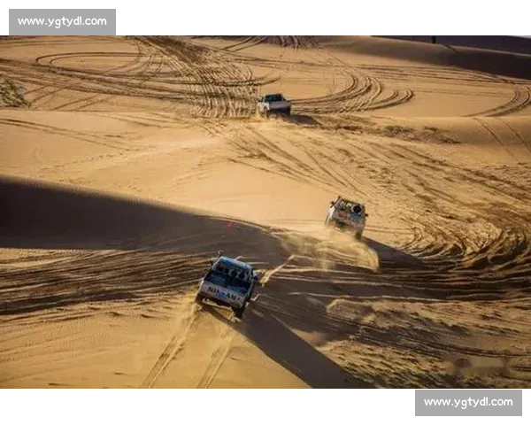 云蛇比赛编排软件助力赛事组织智能化提升赛事效率与公平性